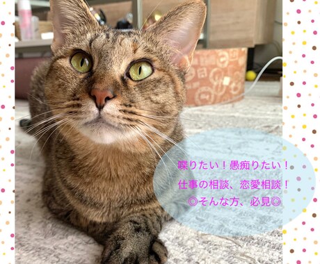 どんなことでも(o^^o)お話し聞きます 暇だな、今日誰とも話してないな、という方、お相手します◎ イメージ1