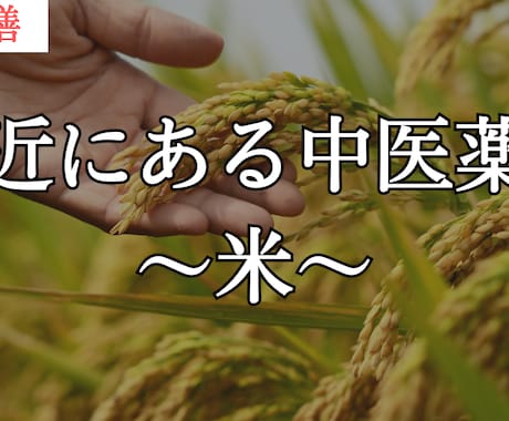 体質改善や体調の改善できるよう食事を考えます 中医薬膳で身体を元気に症状に応じたメニューを提供します。 イメージ1