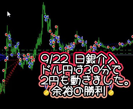 初心者歓迎！無裁量FXのやり方教えます 28歳女子が会社を辞めても生活できている方法伝授します イメージ2