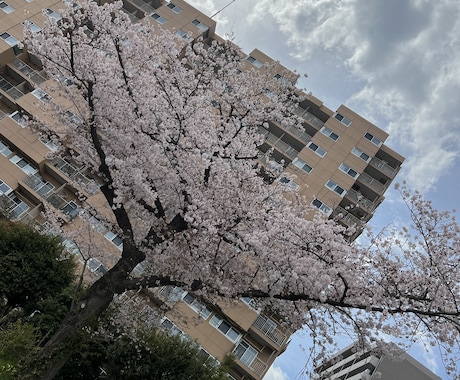 あなたのお話をじっくり聞きます どんなお悩みでも誠心誠意聞かせていただきたいです。 イメージ1