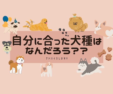 お客様にあった犬種をご提案いたします 細かなヒアリング/元ペットショップ店員(4年勤続) イメージ1