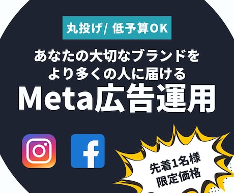 ビジネスを成長させるインスタ/FB広告運用をします 最短3日でスタート！年末に向けての追い込みもまだ間に合います イメージ1