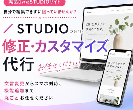 STUDIOスタジオの修正、カスタマイズ代行します イメージ1