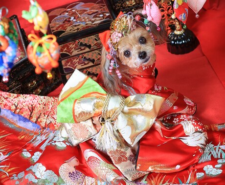 楽しくワンコにしつけと技を教えられます お座りから吠えろまでモデル犬に必要なスキル習得が出来ます イメージ2