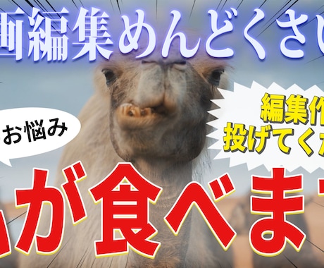 サブスク形式でカット・整音承ります めんどくさい編集作業、お手伝いさせてください！ イメージ1