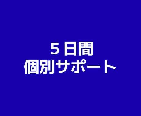 講座購入者様限定|5日間マンツーマンサポートします サポートが必要な方にご活用いただけます イメージ1