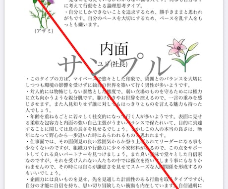 恋愛、結婚、相性、性格、個性詳しく占います 表面だけではわからない本当の自分自身と相手の性格が明確に!! イメージ2