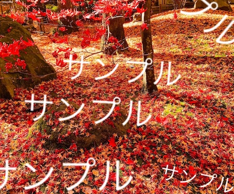 雰囲気のある美しい花・風景の写真素材を提供します 著作権フリーで四季折々の美しい写真をご自由にご利用ください。 イメージ2