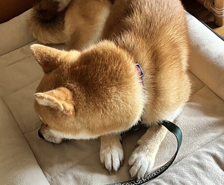 女性限定　あなたを安心させて話せる電話相談します あなたの気持ち、全部受け止めます イメージ1