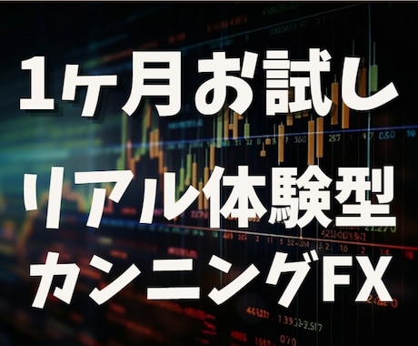 先出しカンニングFXを1ヶ月限定でお試しできます 1ヶ月のリアル体験型パスポートで、覚醒しませんか？ イメージ1