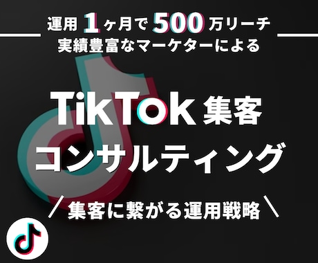 1ヶ月間TikTok運用のコンサルティングをします 個人様・法人様の運用/コンサル実績多数あり イメージ1