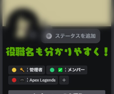 あなたのためのDiscordサーバー用意します 他のサーバーにはない、特別なサーバーを用意しませんか イメージ2