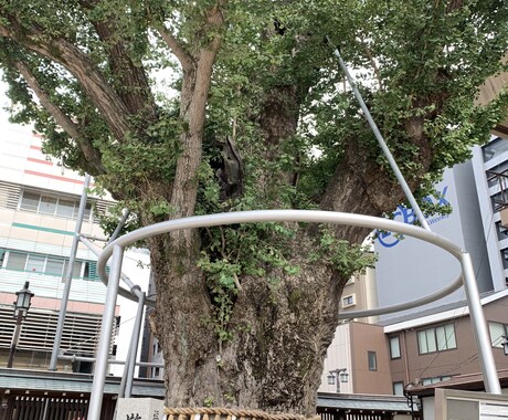 あなたの個性お伝えします 霊視によるあなたの個性、長所をお伝えします イメージ1