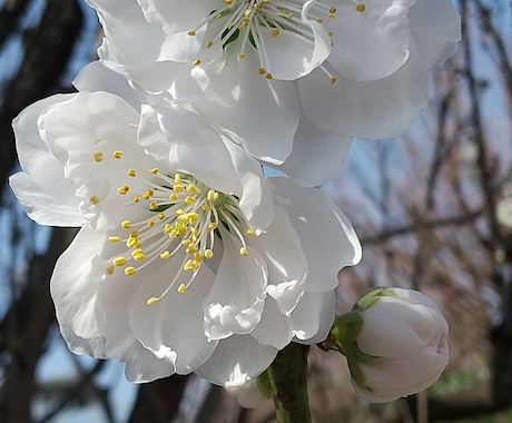 世間話からお悩み相談まで承ります *。＊☆あなたのココロのゴミ箱、１分だけでもどうぞ☆＊。* イメージ1