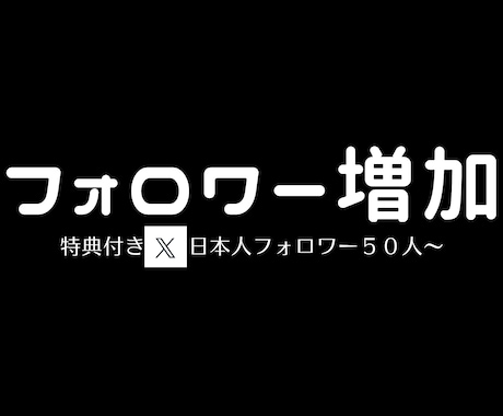 限定特典！ X・Twitterフォロワー増やします 日本人フォロワー30人～増やすようプロモーションします イメージ1