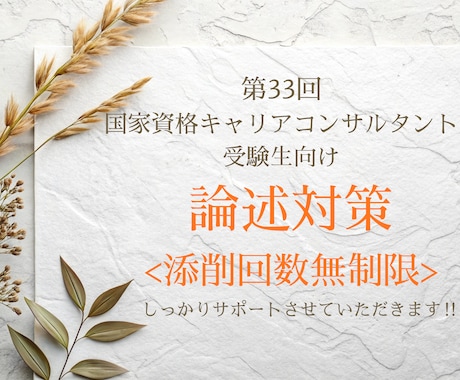 キャリコン論述試験・試験直前まで無制限添削します オールA判定・論述40点の私が考え方から丁寧に解説 イメージ1