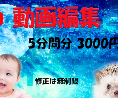 動画全般心を込めて編集したします 修正は何度でも無料です！料金もシンプル設定です。 イメージ1