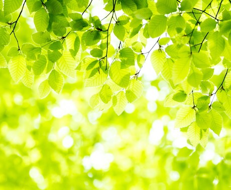 何でもお話ください♪どんなあなたも応援します 深い理解、自信を取り戻す、ストレス発散 イメージ1