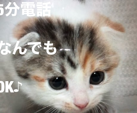 少し話をしたい、5分からお話聞きます 興味本位でお話してみませんか？女性限定 イメージ1