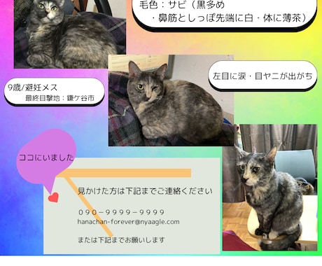 迷子猫情報をYouTube・TikTokに載せます 登録者数1000～1800人アカウントに掲載・拡散します！ イメージ2