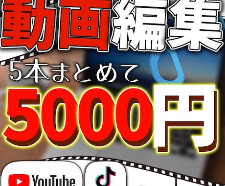 ５本まとめて5000円で動画制作します イメージ1