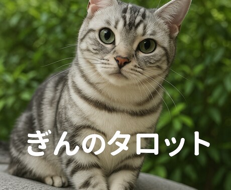 タロットで、占います 解決に向けて新しい視点をつくります。 イメージ1