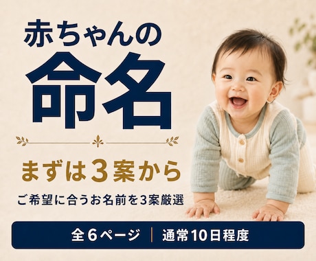 シンプル版｜赤ちゃんの名前を真・姓名判断します 必要項目に絞った低価格の命名入門プラン イメージ1