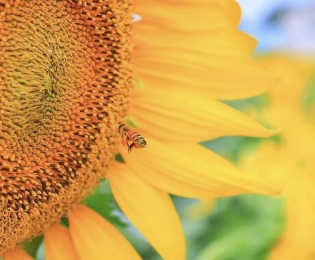 写真撮影、お好みにあった編集・加工を行います 自己紹介やサイト紹介画像に⭐︎イメージにあった画像を提供 イメージ2