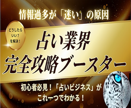これ1つでOK占い初心者でも必要な情報がわかります 何から覚えたらいい？を解決！簡単マニュアルで占い師を目指す イメージ1