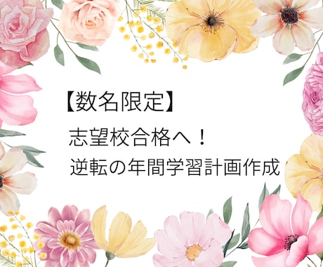 合格に導くための大学受験の計画立案と相談を行います 慶應卒プロ講師が受験の計画相談を行います　行政書士受験生も可 イメージ2