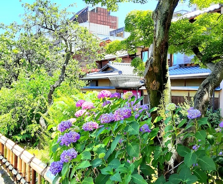 京都の四季の写真提供しています 京都の何気ない風景や四季の風景写真 イメージ1