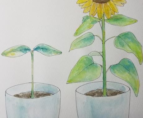 植物、動物等のペン画をかきます 手書きによる個性あるイラストを。 イメージ2