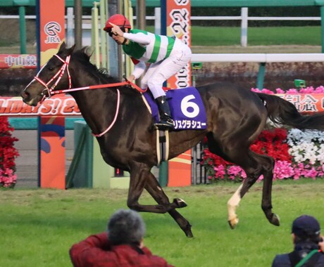 毎週競馬の穴馬など有力な情報を流します レースごとに来る確率が高い馬を提供させてもらいます イメージ1