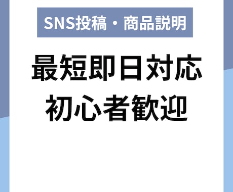 初心者歓迎！SNS投稿・商品説明を即日作成します 低価格×即日対応で高品質な文章を作成します イメージ1