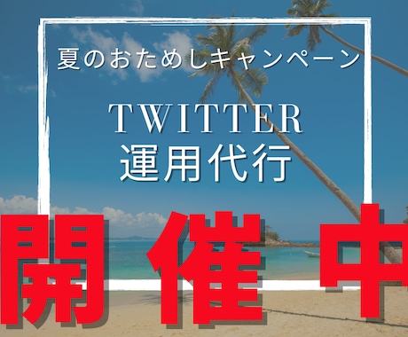 激安！プロが15日間Twitter運用代行します 今、一番もとめられているTwitter運用代行サービスです。 イメージ1