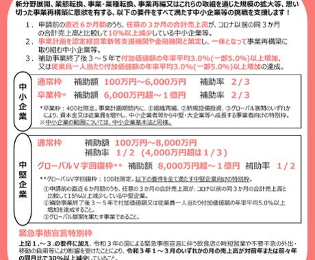 ３人体制で事業再構築補助金の事業計画書作成致します 審査官の経験を生かした事業計画を作成　第５回１０社→８社採択 イメージ2