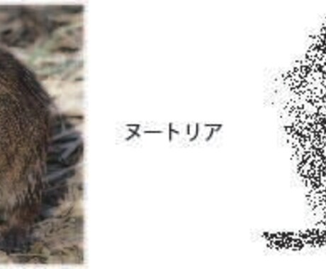 リアルタッチの動物アイコンかきます 爬虫類もいけます。写真通りにかきます。 イメージ2