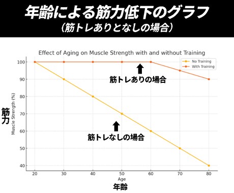 エクササイズレッスン＆メニュー作成します 健康寿命をのばすエクササイズで、生涯自分で歩く身体になろう！ イメージ2