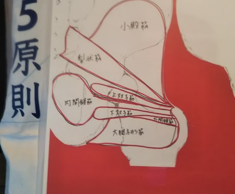 マッサージ講座を受けた情報を提供します マッサージセラピスト向けの悩み相談などお答えします。 イメージ1