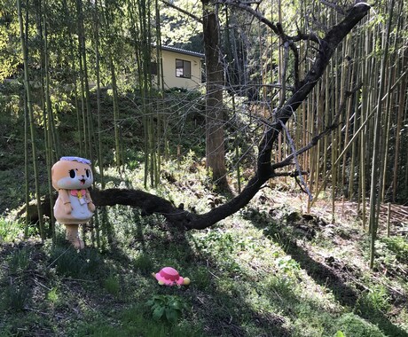 パーティー(結婚式)のアイデア考えます オンリーワンのパーティーのプロデュース結婚式など イメージ1