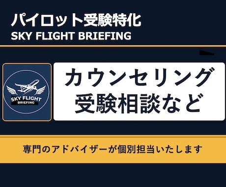 パイロット受験カウンセリング: 対策をご提案します 航空業界✕大手日系出身のプロがあなたの経験と資質をマッピング イメージ1