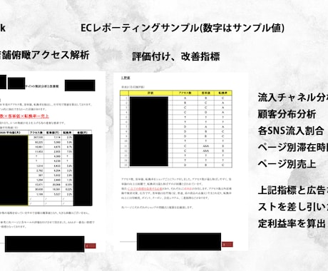 EC店舗アクセス解析レポートの作成を致します アクセス解析 楽天 ヤフー Shopify など イメージ1