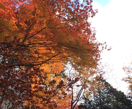 写真代行します！ イメージ2