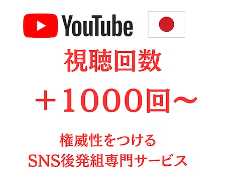 YouTube動画 視聴回数＋１０００増加させます 格安！評価もサービス！おすすめに表示されやすくなります！ イメージ1