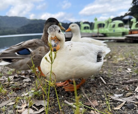恋愛の“モヤモヤ”を一緒に整理します もう1人で抱え込まなくて大丈夫です! イメージ1