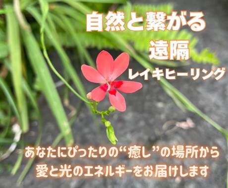 心がふわっと軽くなる遠隔ヒーリングお届けいたします 心と体をやさしく整える「自然と繋がる遠隔ヒーリング」 イメージ1