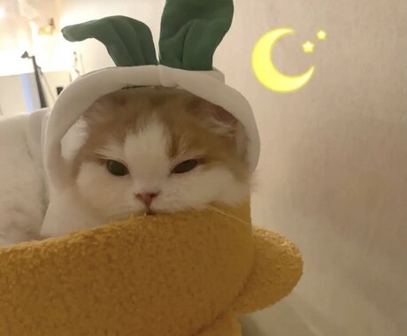 あなたの心に耳を傾けるサービスを提供します 心の本音を誰かに打ち明けてスッキリしませんか？ イメージ1