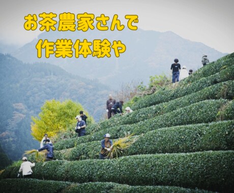 地域体験コンテンツ・イベントの企画支援します 地域資源を活かした体験を企画・提案！ イメージ2