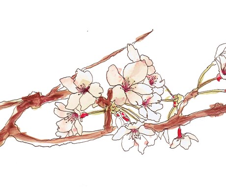 花や植物を描きます 華やかな挿絵やワンポイントになる水彩画を提供します。 イメージ2
