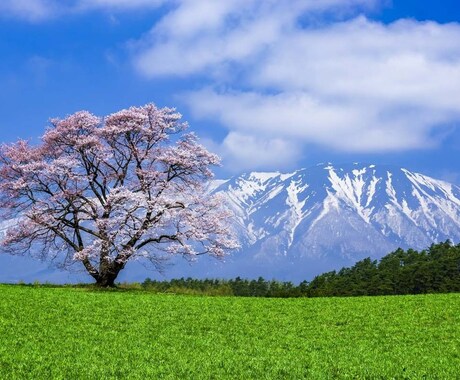 貴方のストレスを解消します 話して楽になろう。仕事やプライベート気にせず何でも話してね イメージ1